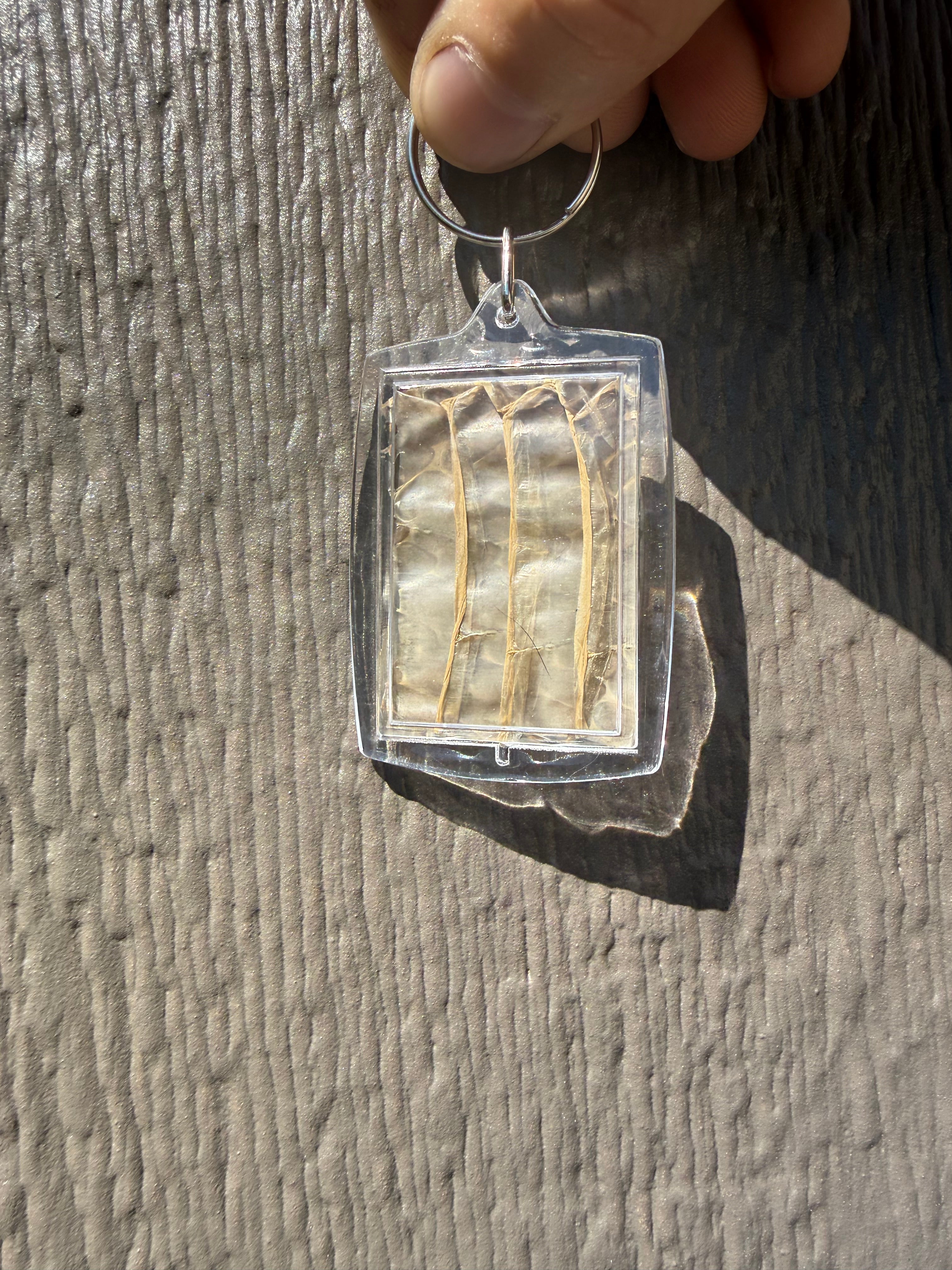 Snake Shed Keychain