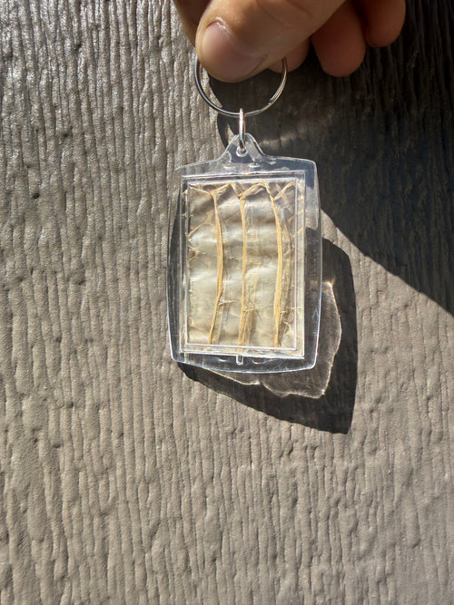Snake Shed Keychain